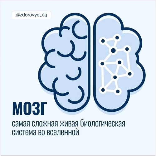 Профилактика сохранения здоровья головного мозга.